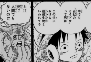 ワンピース カイドウ 世界最強の生物
